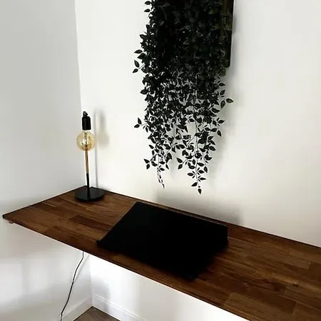 Spacieux & Lumineux Apartment